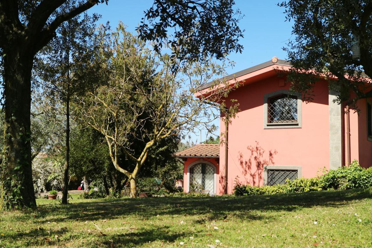 B&B Ai Glicini - Castelli Romani Marino Exteriör bild