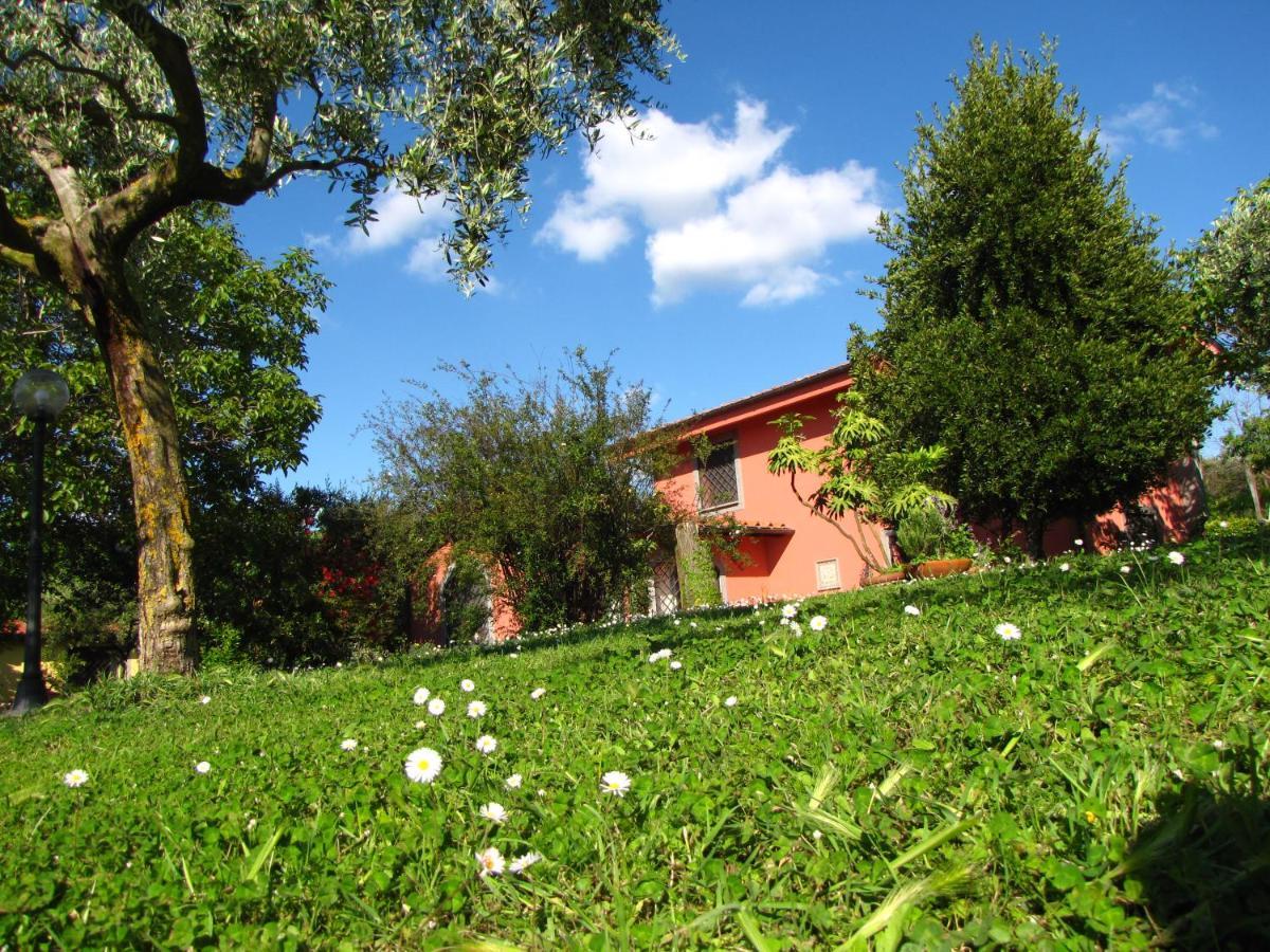 B&B Ai Glicini - Castelli Romani Marino Exteriör bild