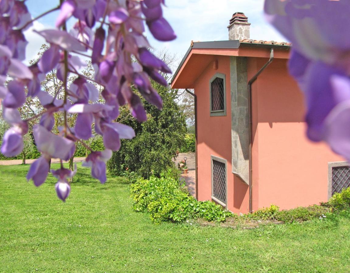 B&B Ai Glicini - Castelli Romani Marino Exteriör bild