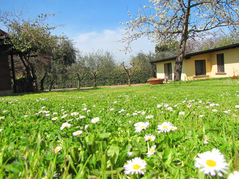 B&B Ai Glicini - Castelli Romani Marino Exteriör bild