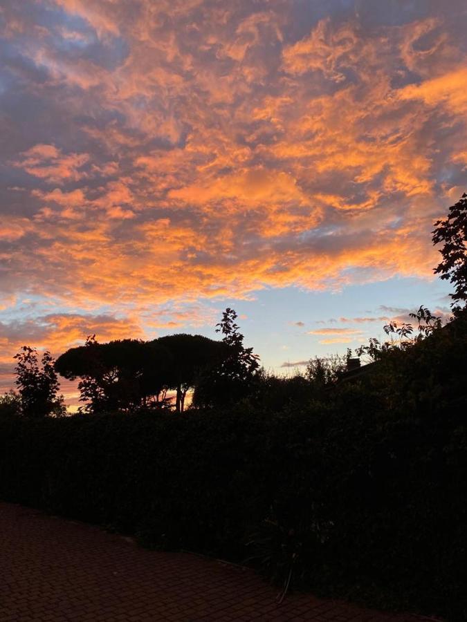 B&B Ai Glicini - Castelli Romani Marino Exteriör bild
