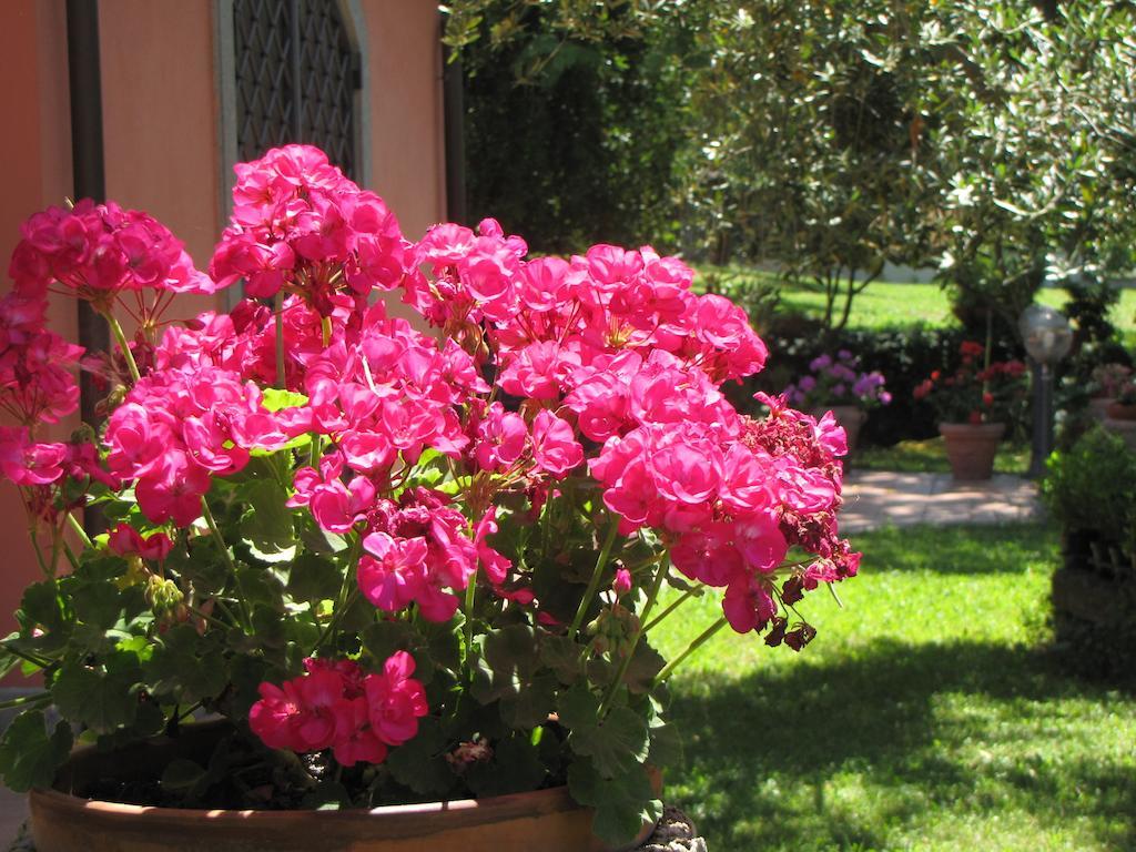 B&B Ai Glicini - Castelli Romani Marino Exteriör bild