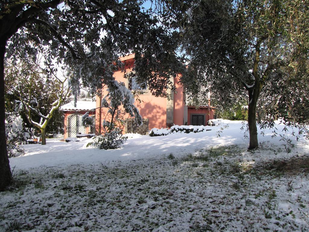 B&B Ai Glicini - Castelli Romani Marino Exteriör bild