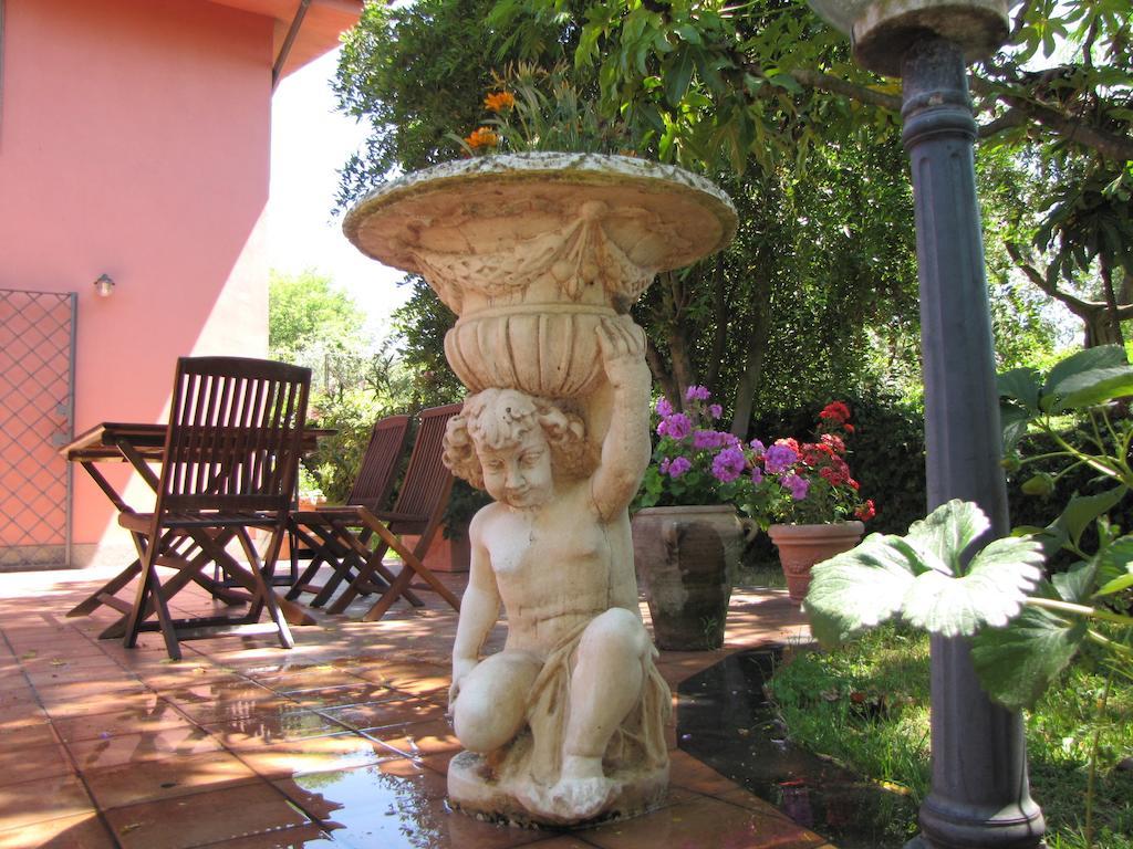 B&B Ai Glicini - Castelli Romani Marino Exteriör bild